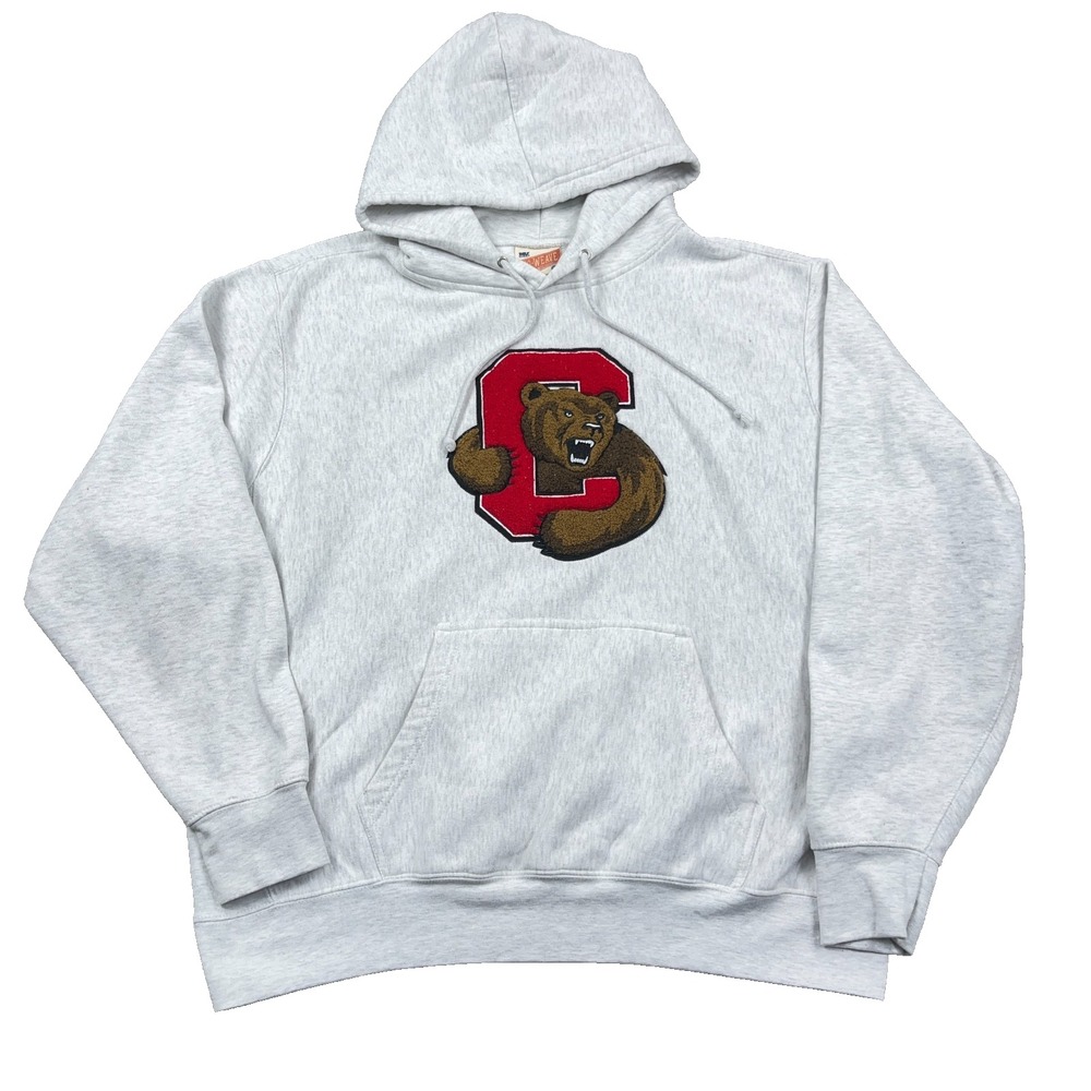 Cornell University Hoodie Men XL Gray Sweatshirt Sewn Fuzzy Logo Weave Heavy Y2K